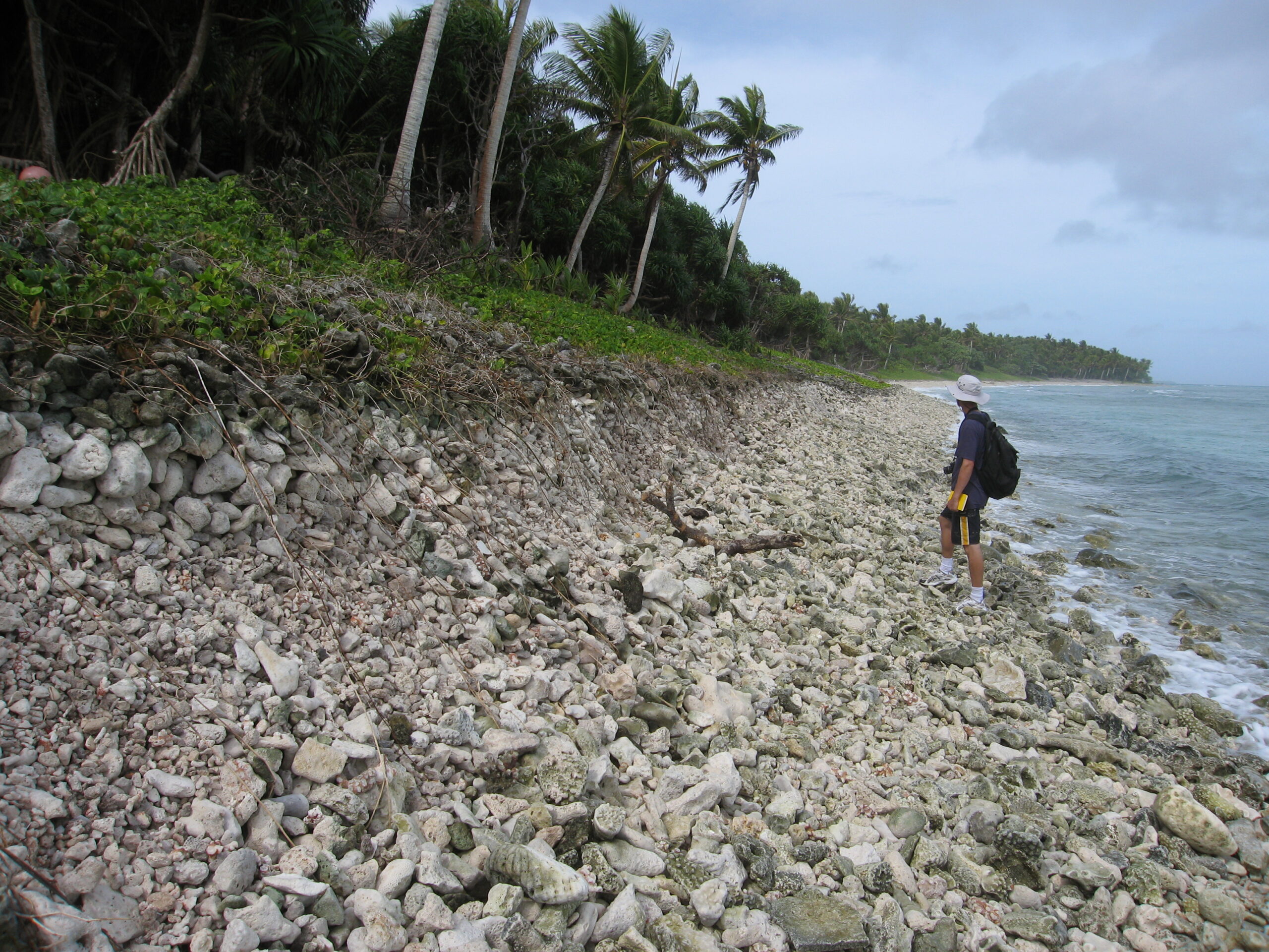 Fieldwork_20070106_001