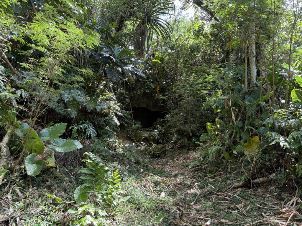 20250502_041810801_iOS